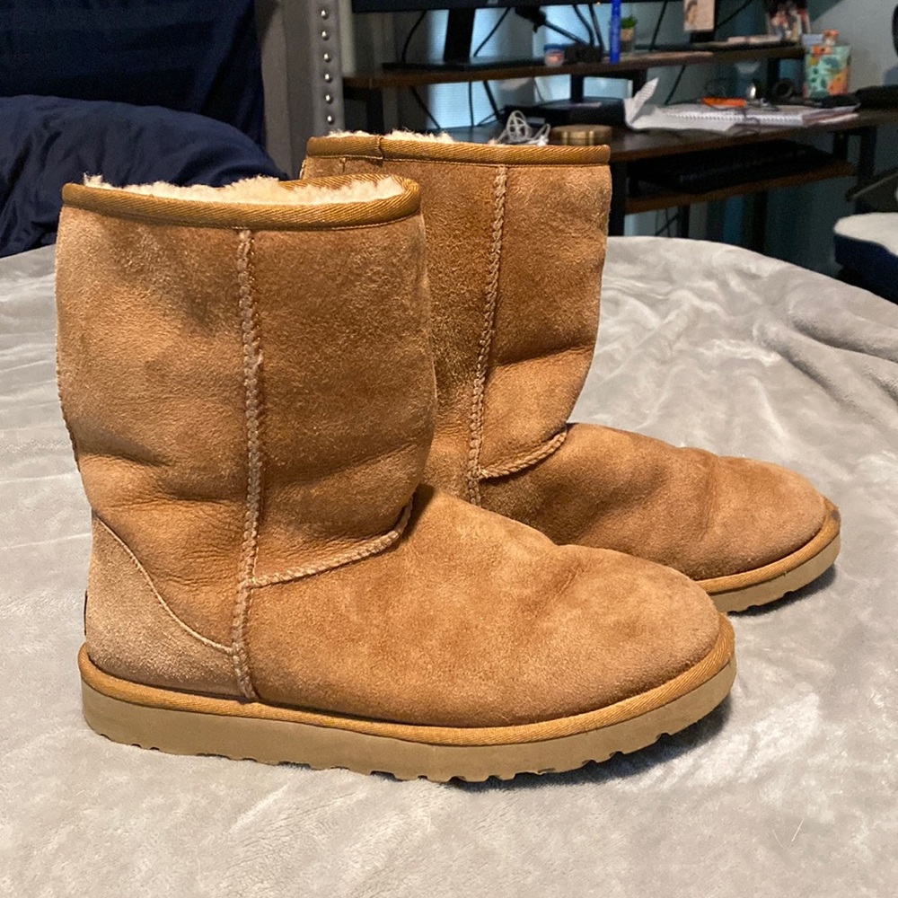 Short Chestnut Uggs